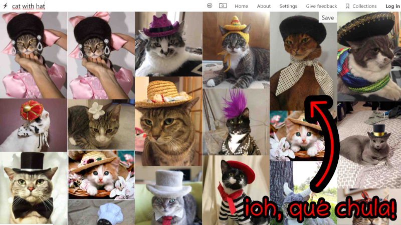 La búsqueda "cat with hat" en Same Energy nos da un montón de fotos de gatos com sombrero.